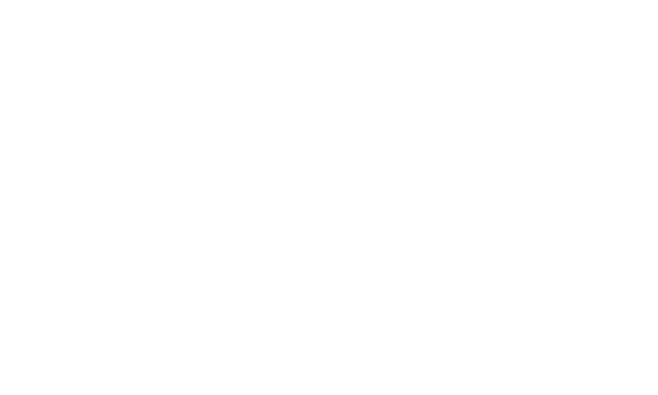 Goldbach Neo